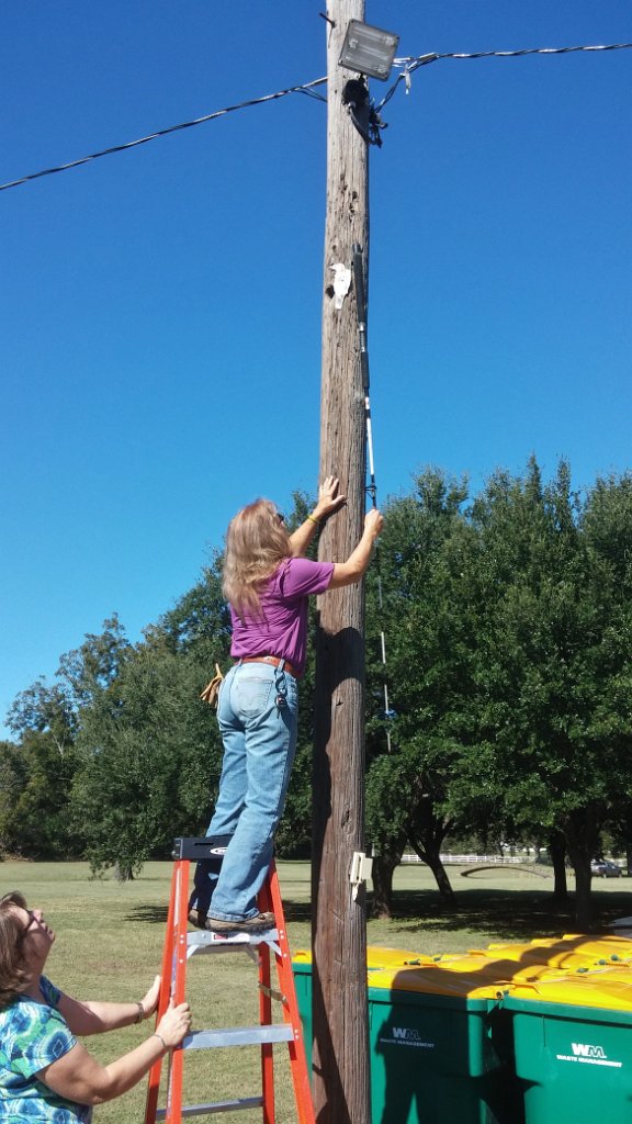2014-10-17 11.17.36.jpg - Zoe of Master Naturalists mounting "woodpecker" to pole, right at actual woodpecker cavity
